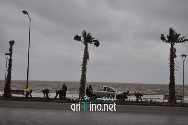 nador0010