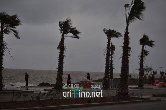 nador0013