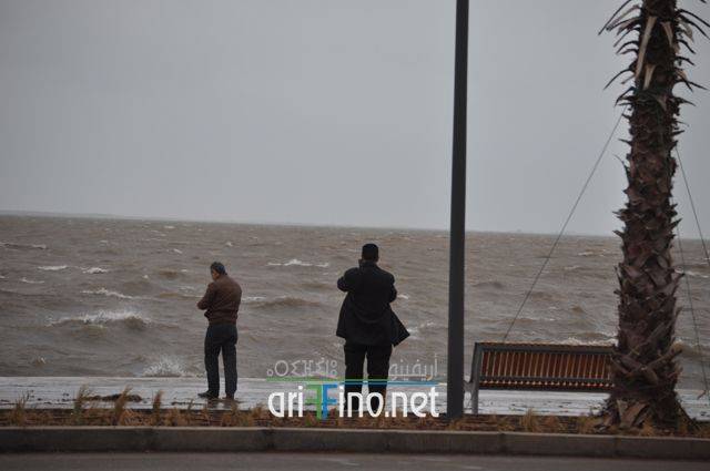 nador0014