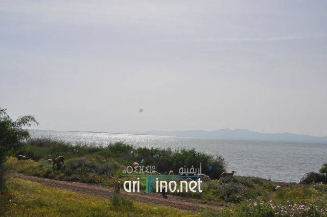 nador0035
