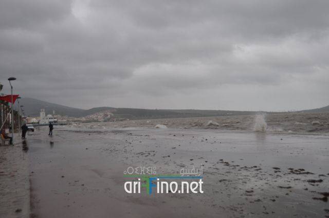 nador0036