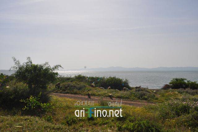nador0040