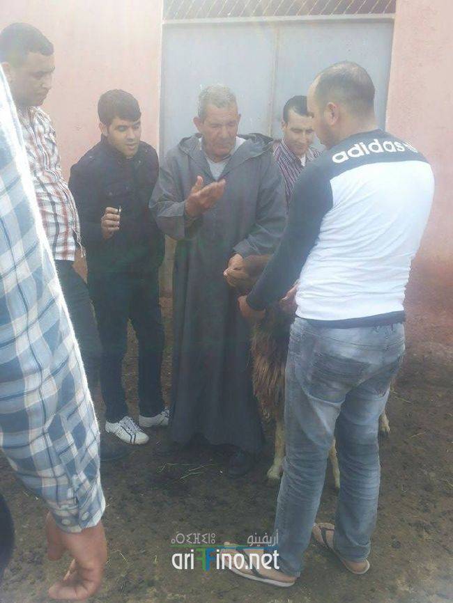 nador0287