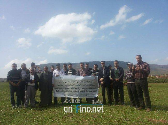 nador0291