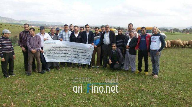 nador0298