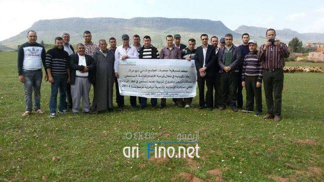 nador0299