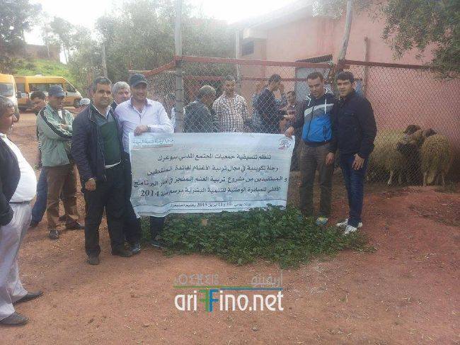 nador0303