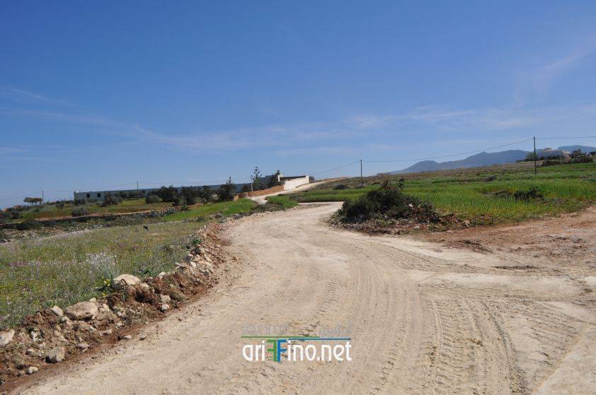 nador0620