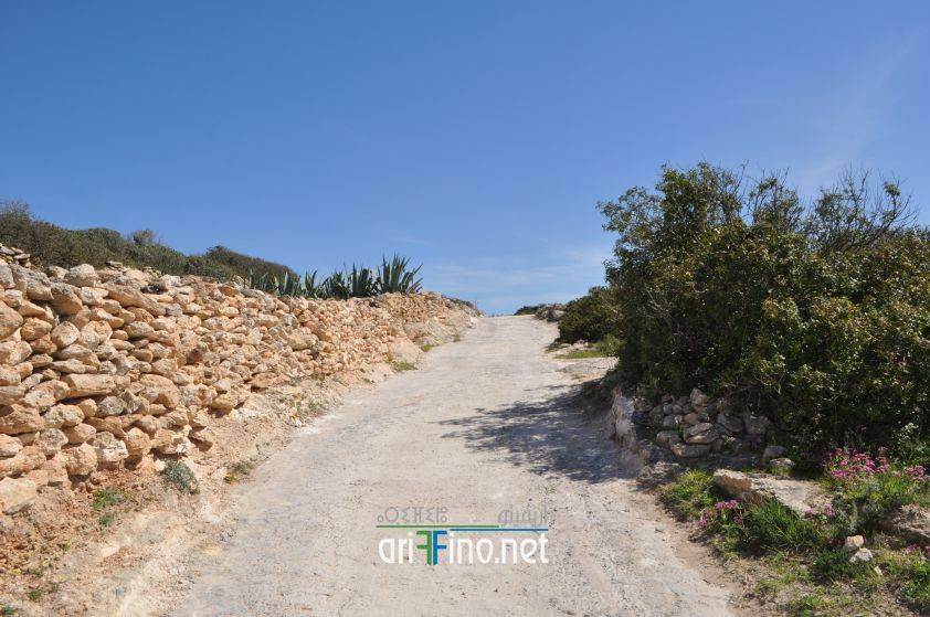 nador0635
