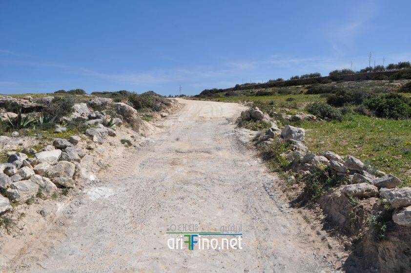 nador0638