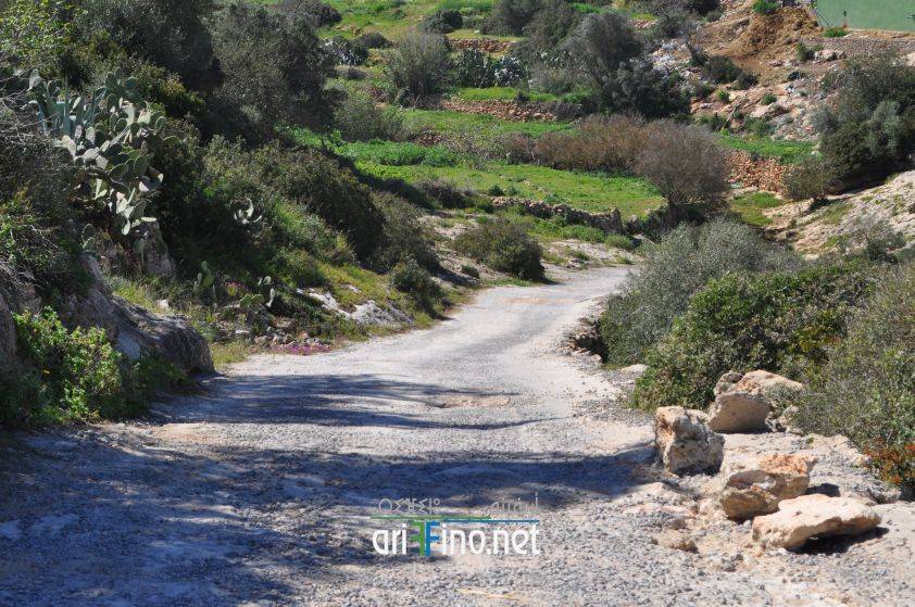 nador0639