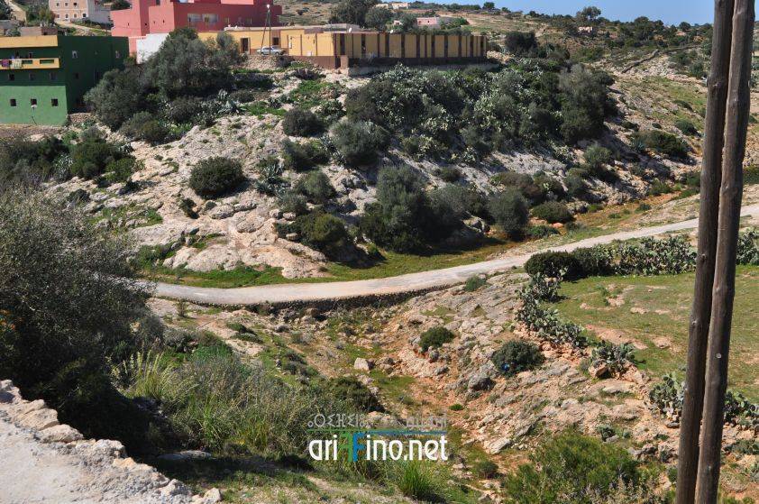 nador0642