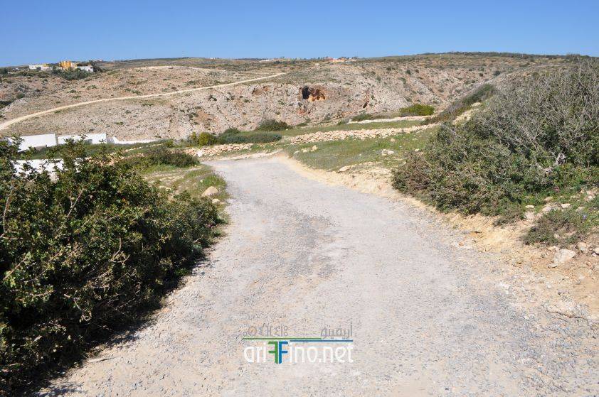 nador0644