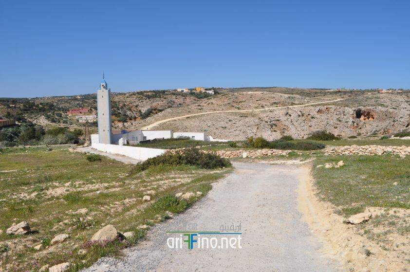 nador0650