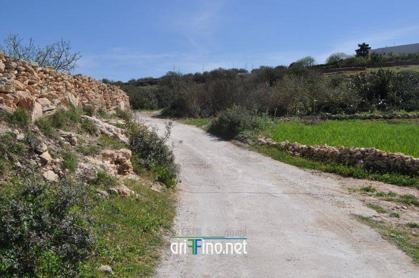 nador0651