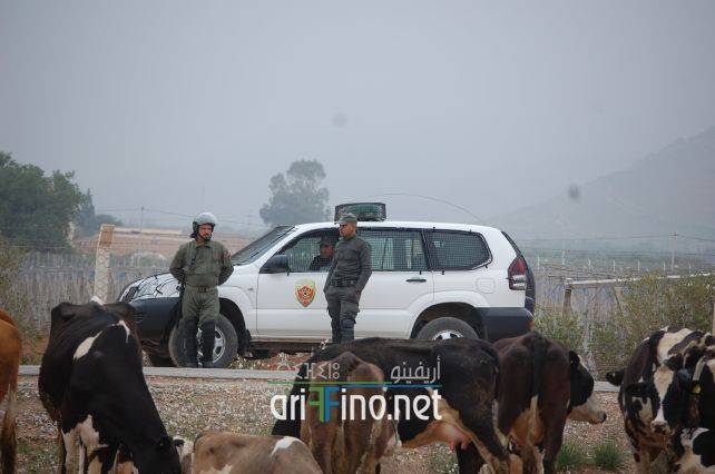 nador0992