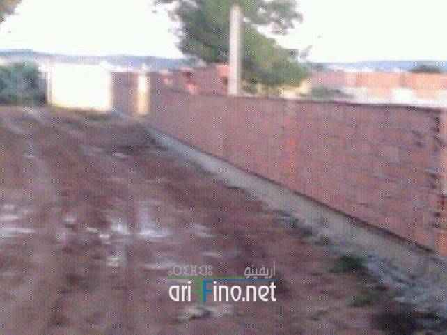 nador1077