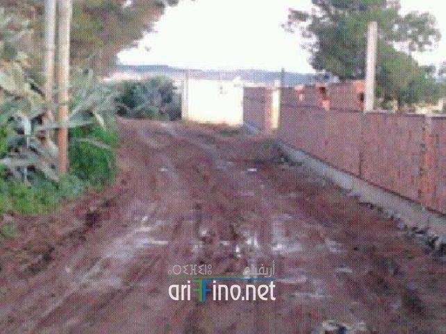 nador1078