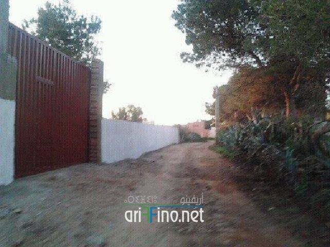 nador1079
