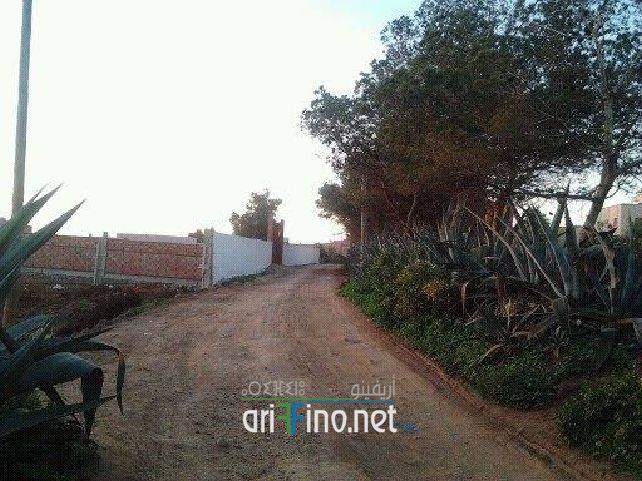 nador1082