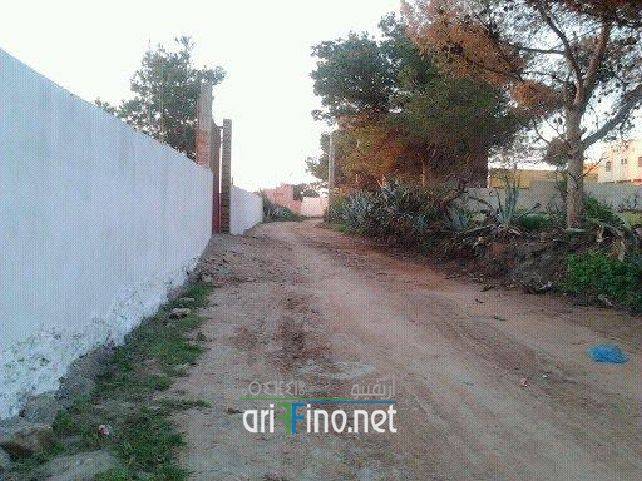 nador1084