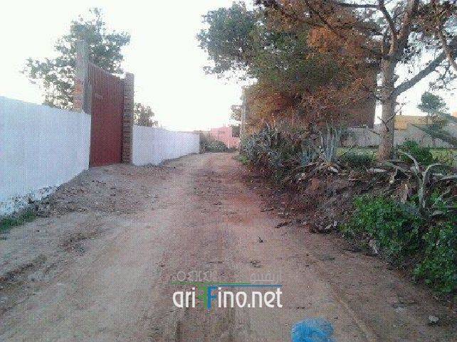 nador1085
