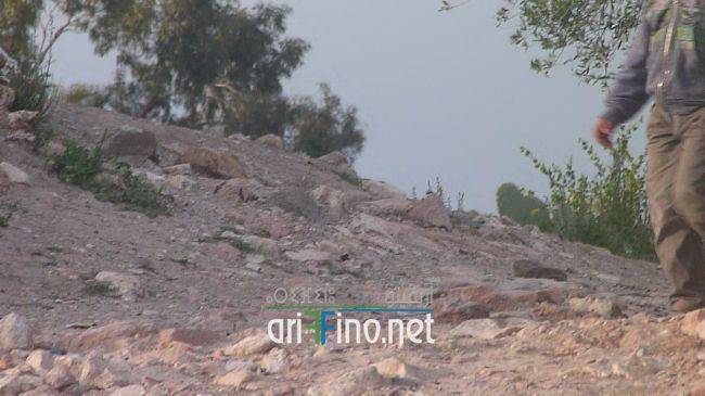 nador1125