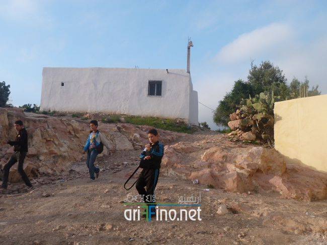 nador1137