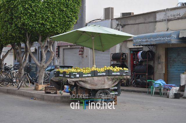 Magarabia0094