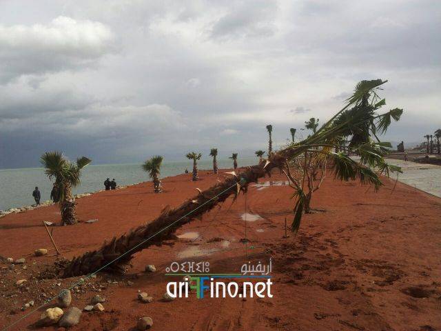 nador0560