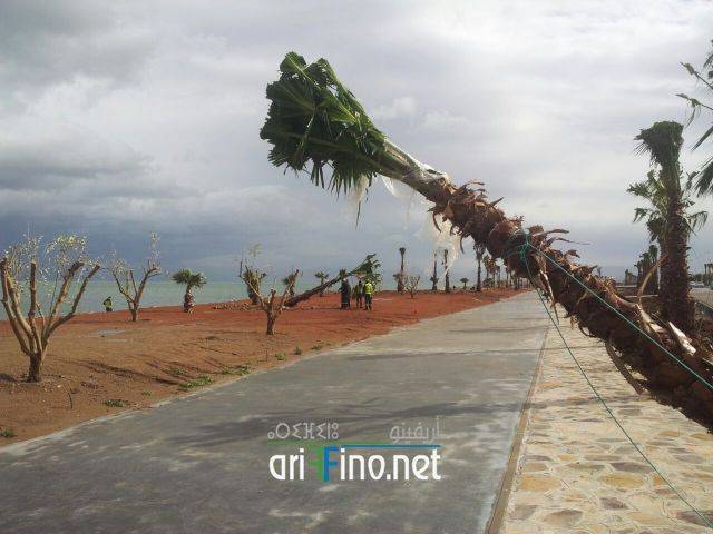nador0561