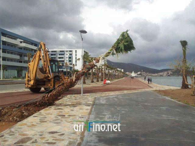 nador0563