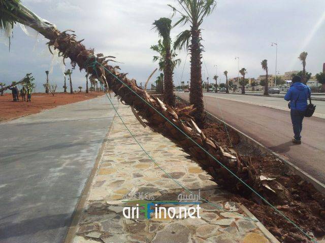 nador0566