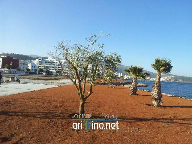 nador0860