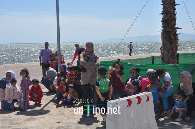 nador1136