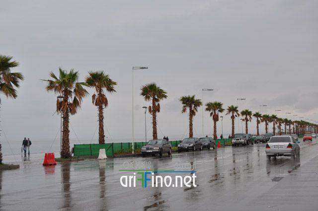 nador1367