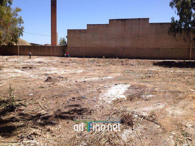 nador1653