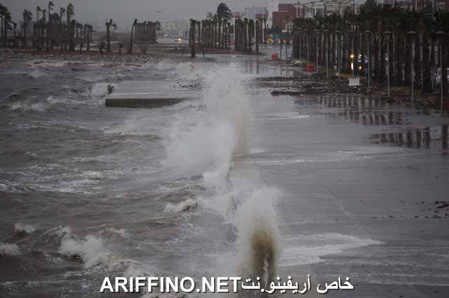 nador1855