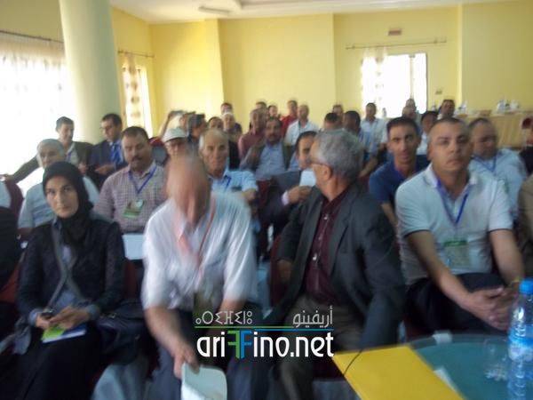 nador219