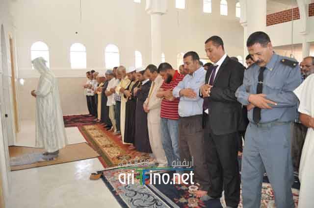 nador262