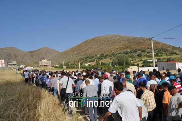 nador272