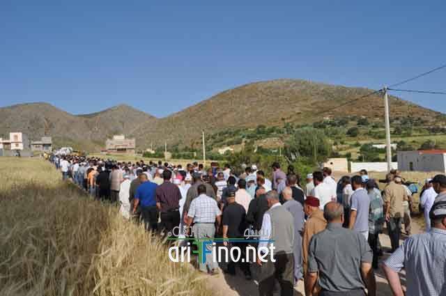 nador273