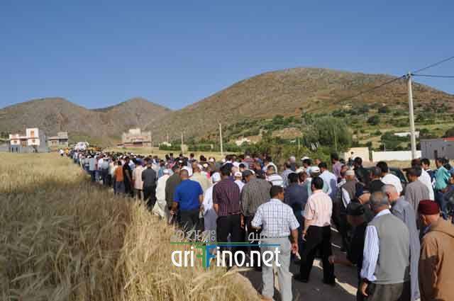 nador275