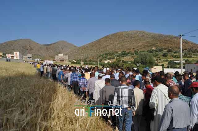 nador276
