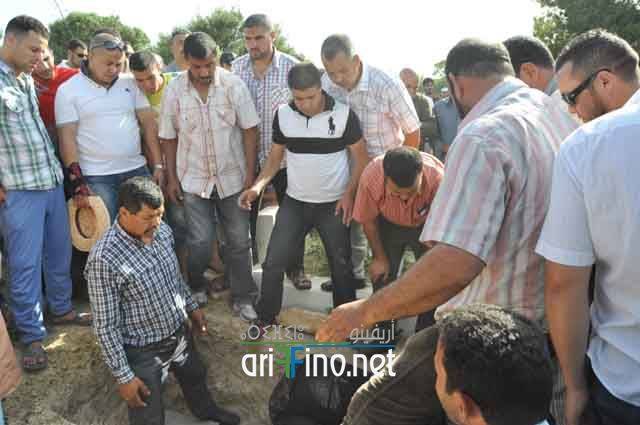 nador291