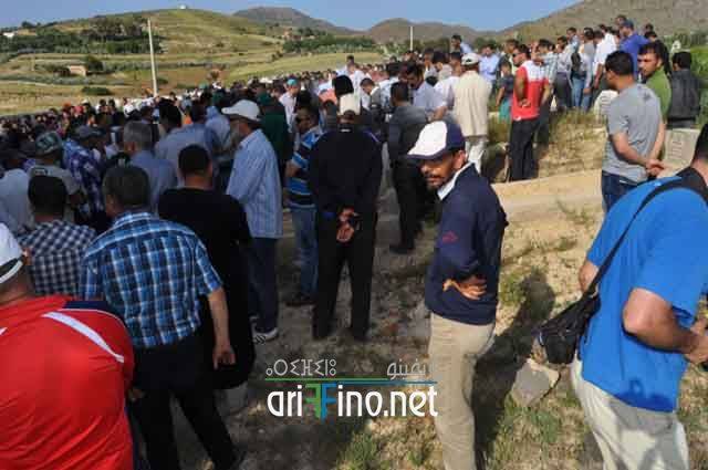 nador294