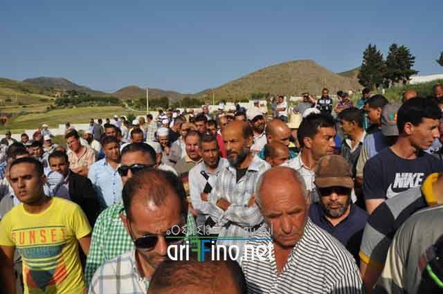 nador297