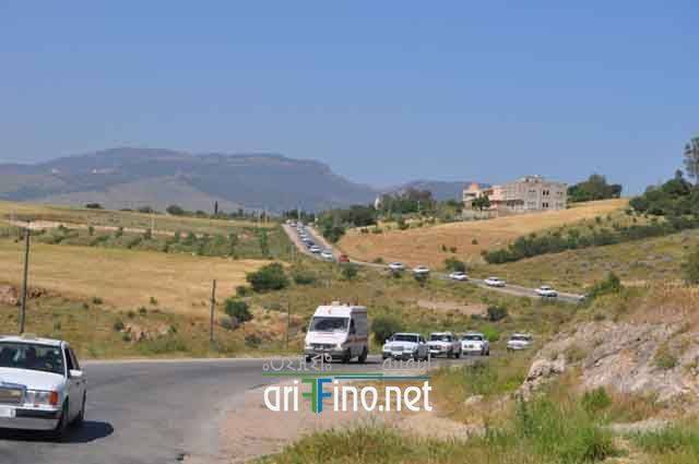 nador313