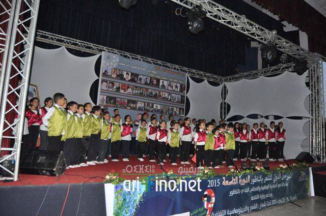 nador337