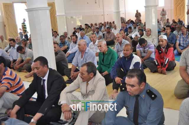 nador359